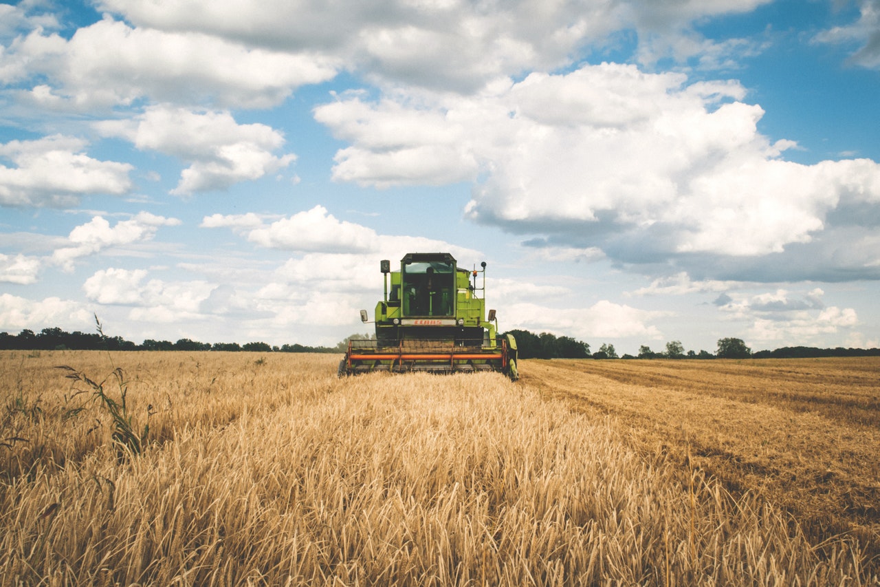 Para proyecto de agricultura intensivos